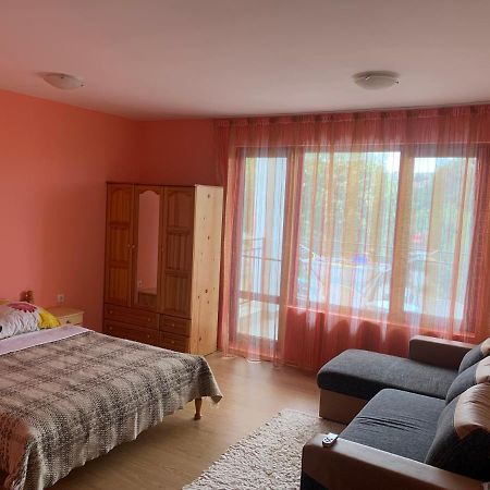 Studio Fatinia Bjala Exteriér fotografie